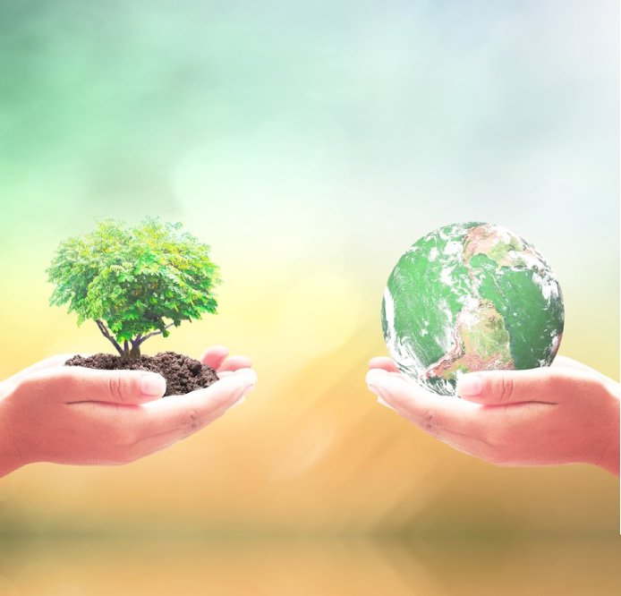 Eco-friendly consulting services ,benefits of environmental management consulting ,sustainable business practices for small businesses