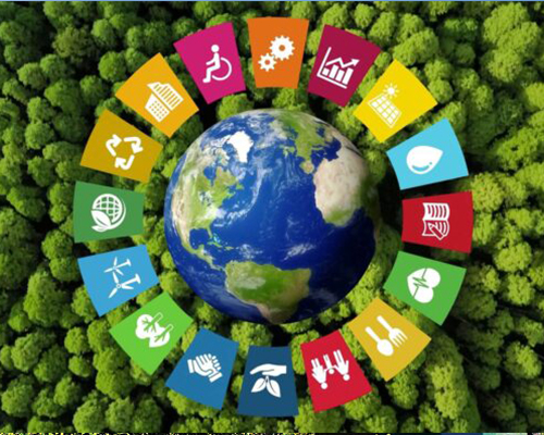 Sustainability Awareness Training